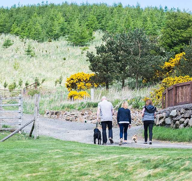 Balmeadowside Country Lodges & Cottages
