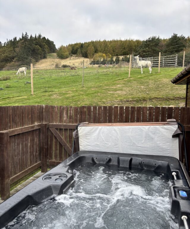 Woodpecker Lodge Hot Tub