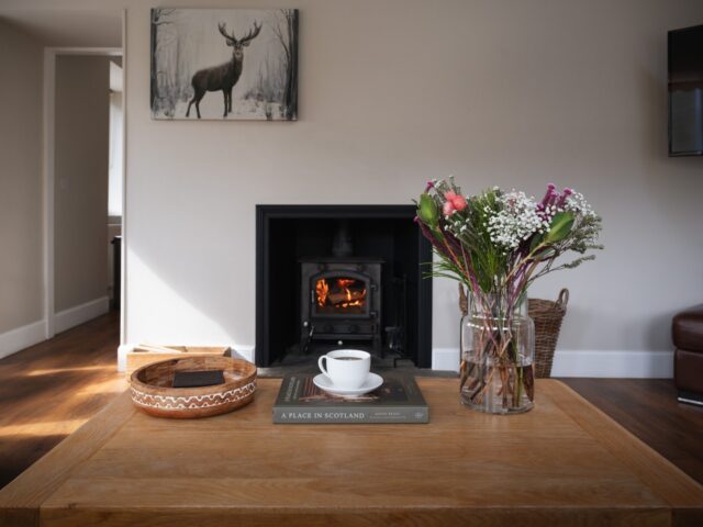 Cosy Lounge with Wood Burning Stove