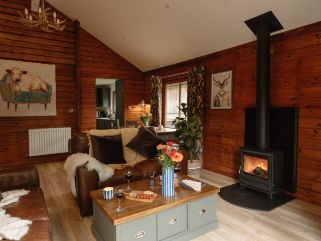 Laird Galloway Lodge 27 Lounge with Wood Burning Stove