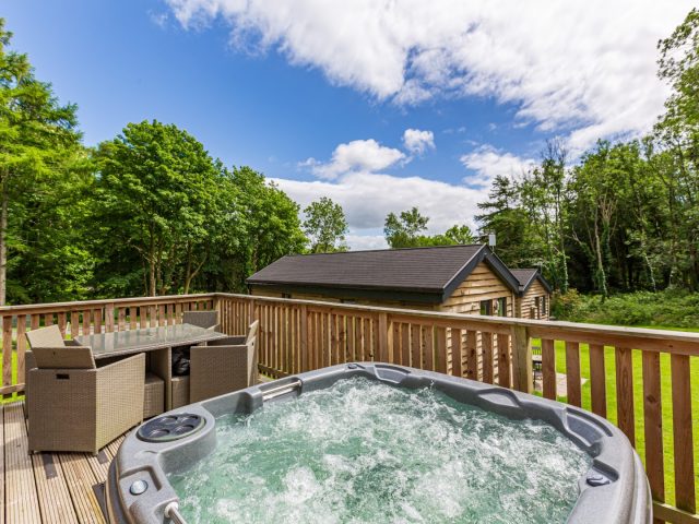 Squirrel Lodge 42 with Private Hot Tub
