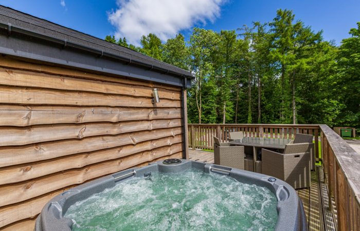Squirrel Lodge 42 with Private Hot Tub