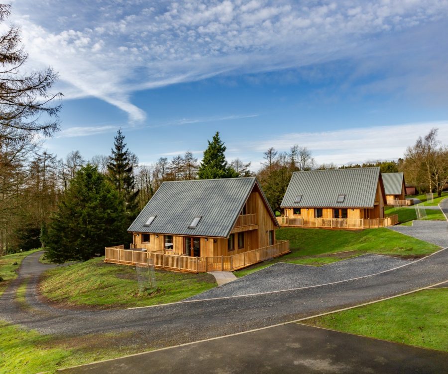 Conifer Lodges in Newton Stewart