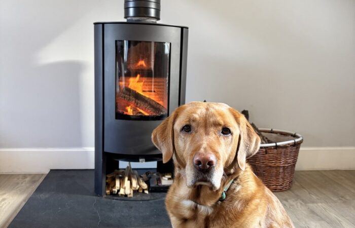 Dog Friendly Accommodation