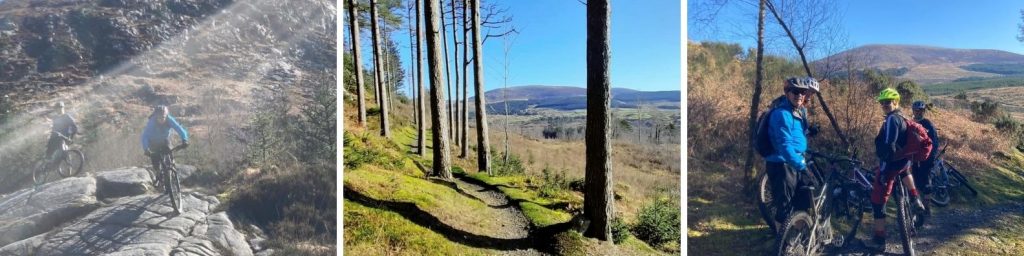 Mountain Biking at Kirroughtree 7 Stanes