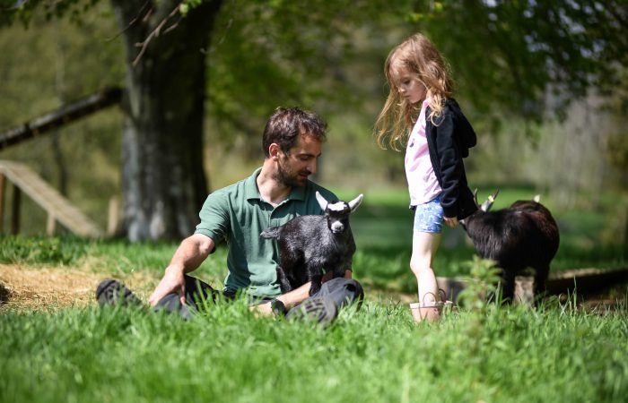 Meet our pygmy goats at Balmeadowside and Drumfork