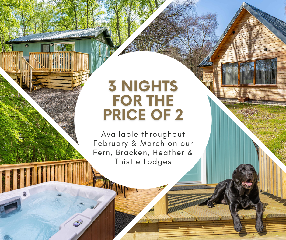 3 Night for the Price of 2
