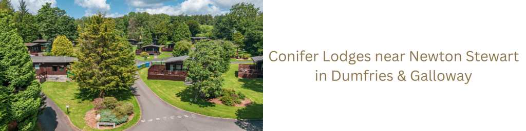 Conifer Lodges in Newton Stewart, Dumfries & Galloway