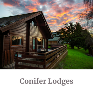 Conifer Lodges