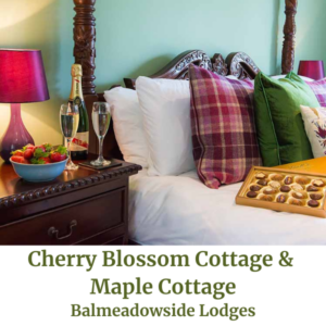 Cherry Blossom & Maple Cottage