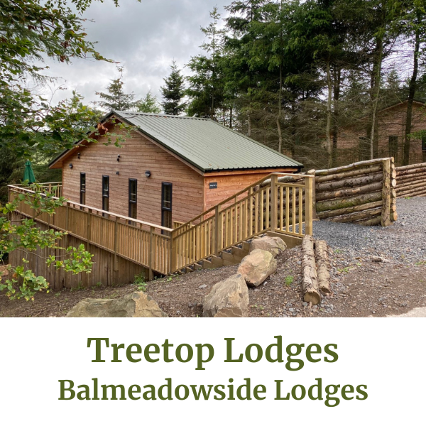 Treetop Lodges