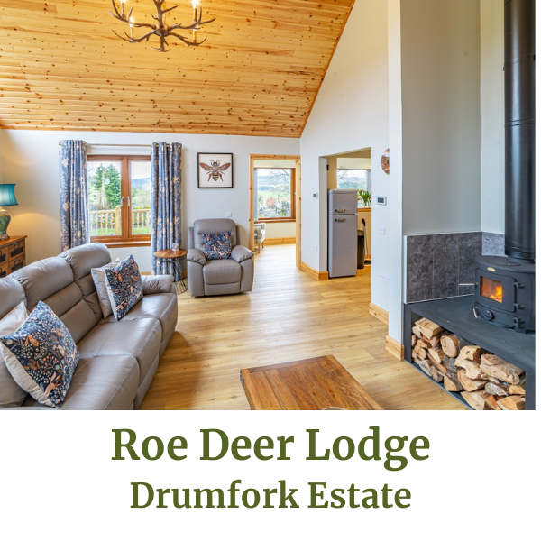 Roe Deer Lodge
