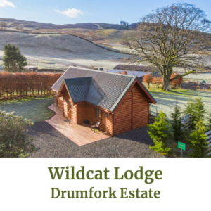 Wildcat Lodge