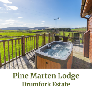 Pine Marten Lodge