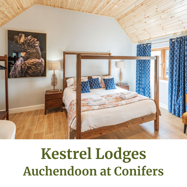 Kestrel Lodges