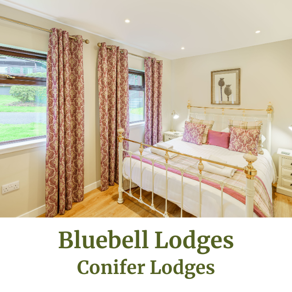 Bluebell Lodges