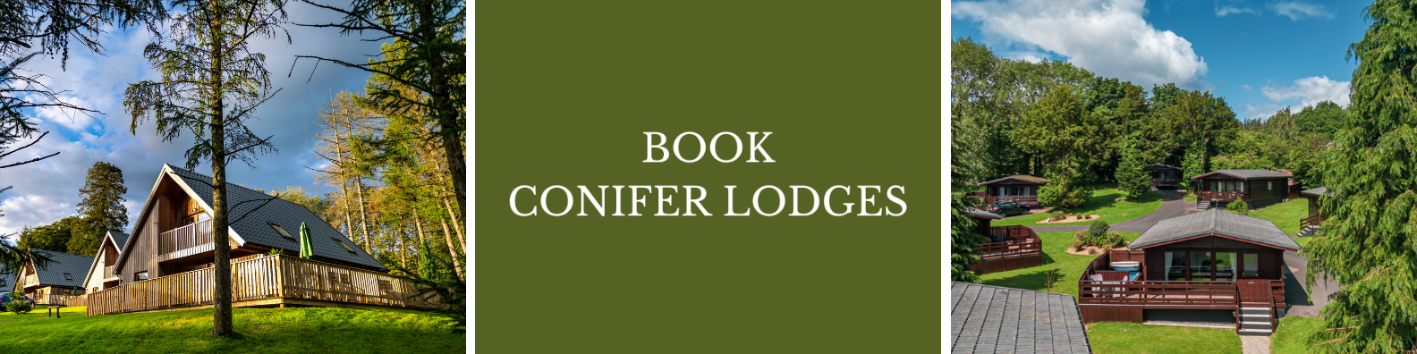 Book Conifer Lodges