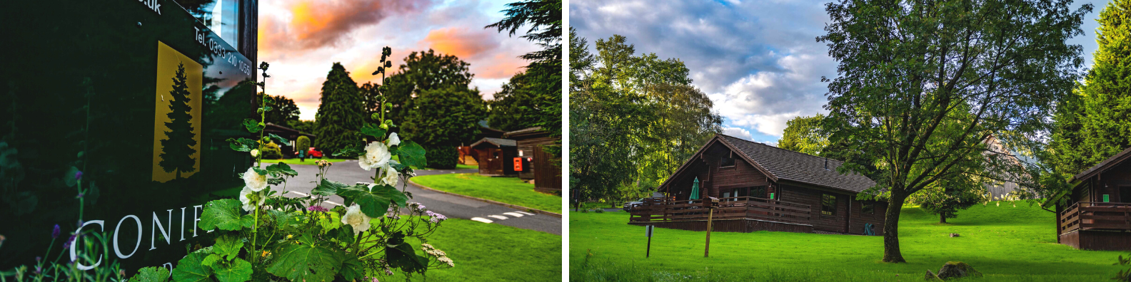 Conifer Lodges in Dumfries & Galloway