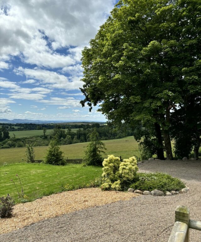 Gorgeous View from Little Kenny Farmhouse
