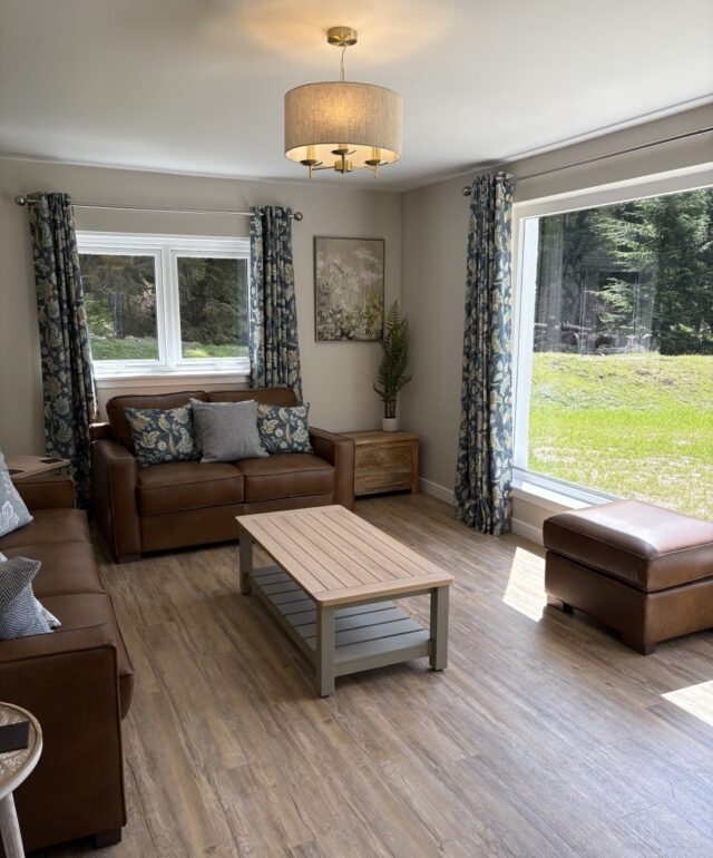 Lounge with Wood Burning Stove and Sofa Bed