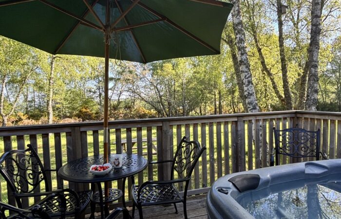 Bracken Lodge 16 Decking with Private Hot Tub