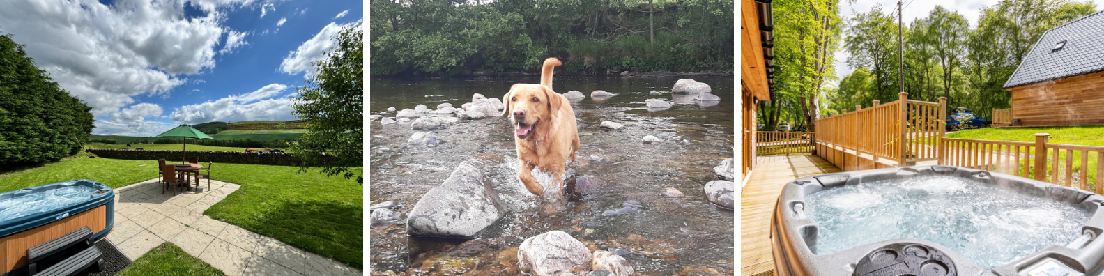 Summer Availability Header