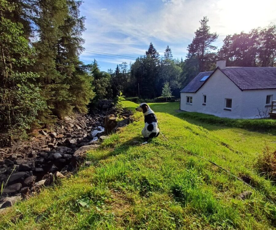 Dog Friendly Drumlinn Cottage