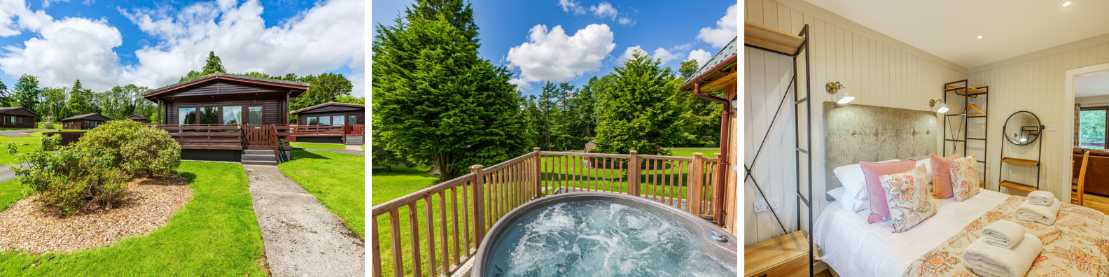 Conifers & Auchendoon August Availability