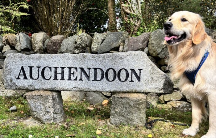 Dog Friendly Auchendoon