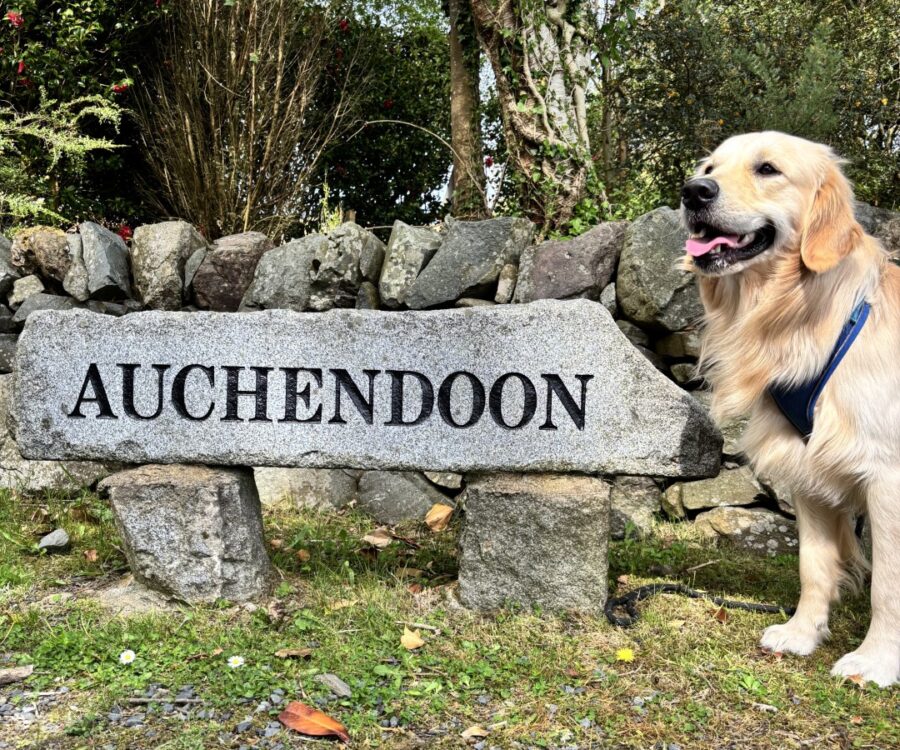Dog Friendly Auchendoon
