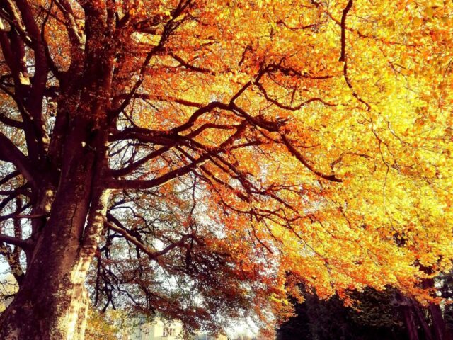 Autumn Getaways in Scotland