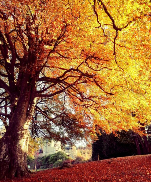 Autumn Getaways in Scotland