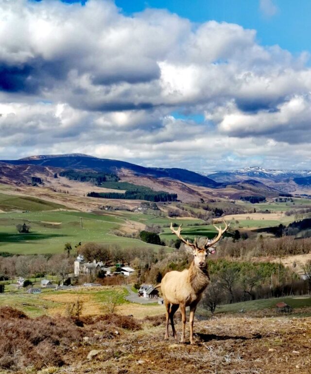 Beautiful Autumnal Landscapes