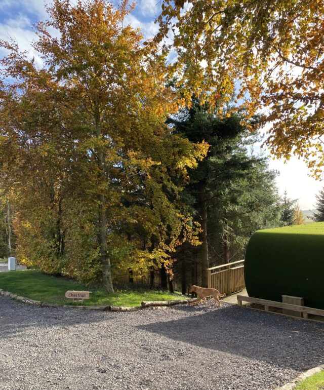 October Holidays in Scotland