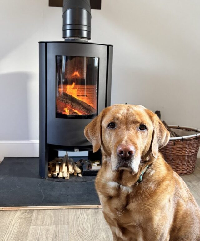 Wood Burning Stove