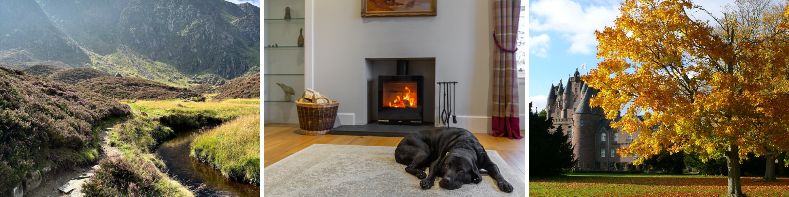 Autumn Things to do - Angus