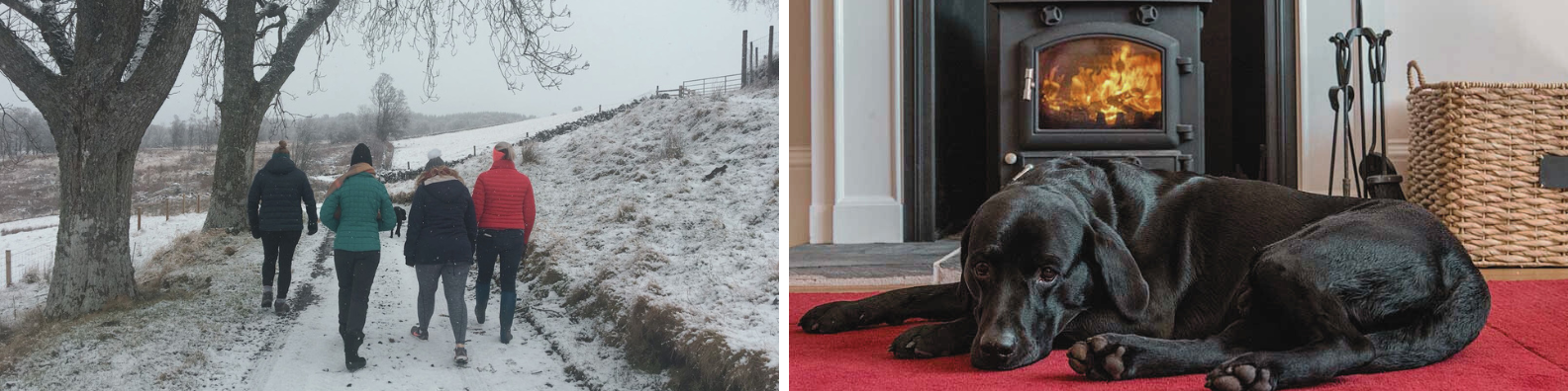 Unmissable 2026 Offers Newsletter