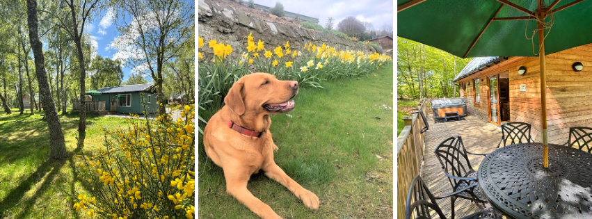 Spring Getaways in Scotland