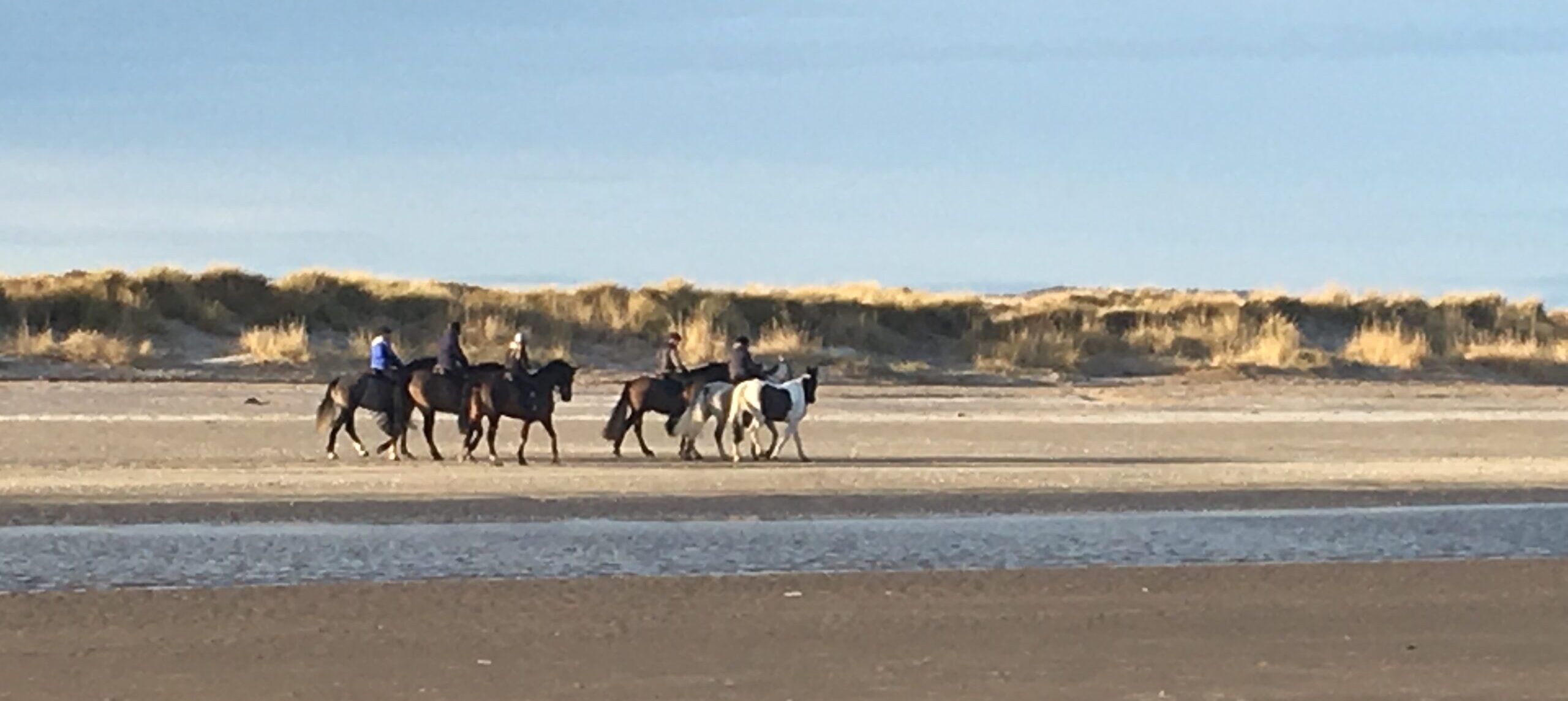 St Andrews Beach