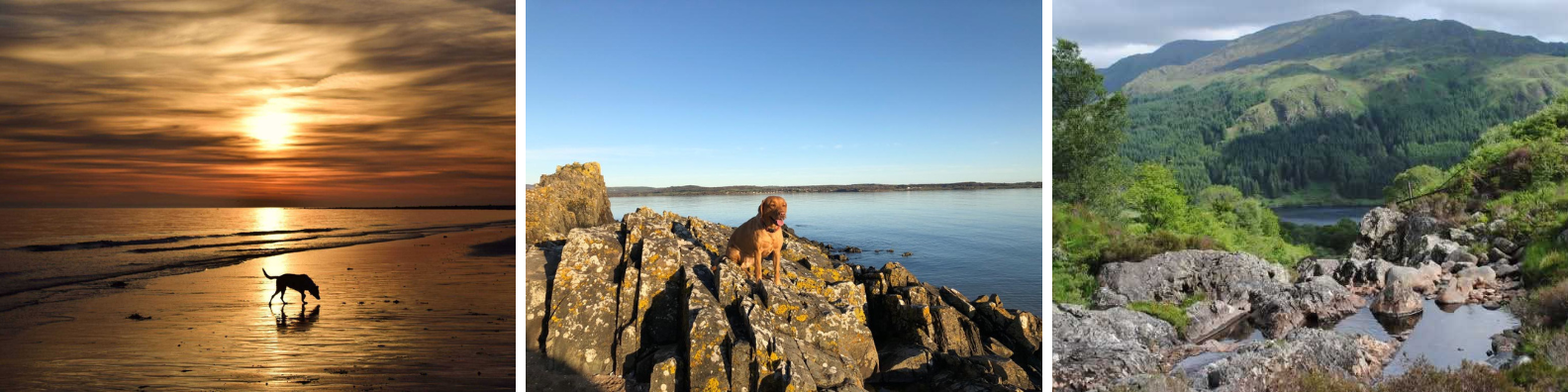 Summer Holidays in Scotland, Dumfries & Galloway
