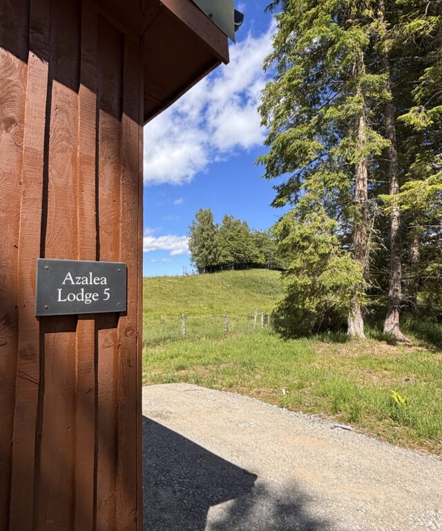 Azalea Lodge 5, Bridge of Cally, Perthshire