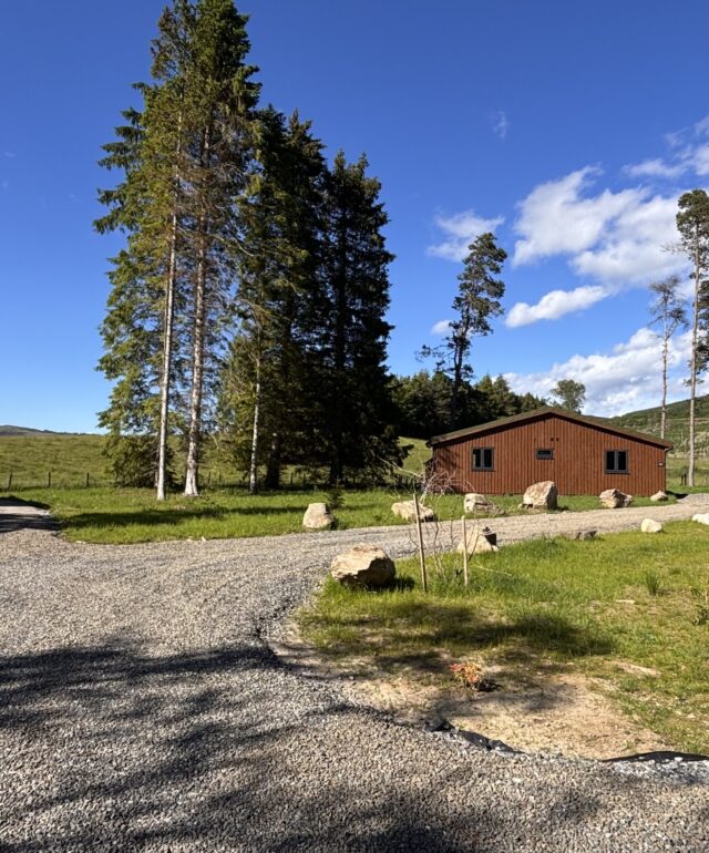 Azalea Lodge 6, Bridge of Cally, Perthshire