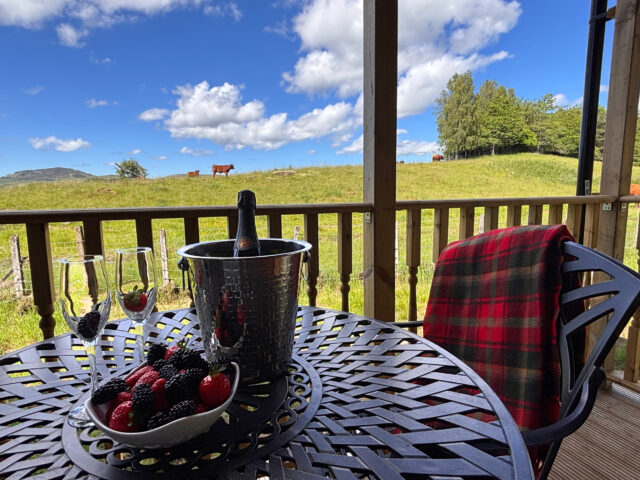 Enjoy strawberries and champagne on your decking at Azalea Lodge 5